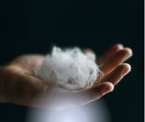Everbloom’s AI Turns Poultry Waste Into Cashmere-Grade Fabric