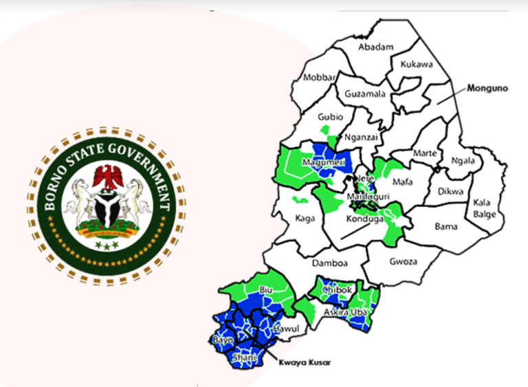 AI Training for Youth Employment Begins in Borno State